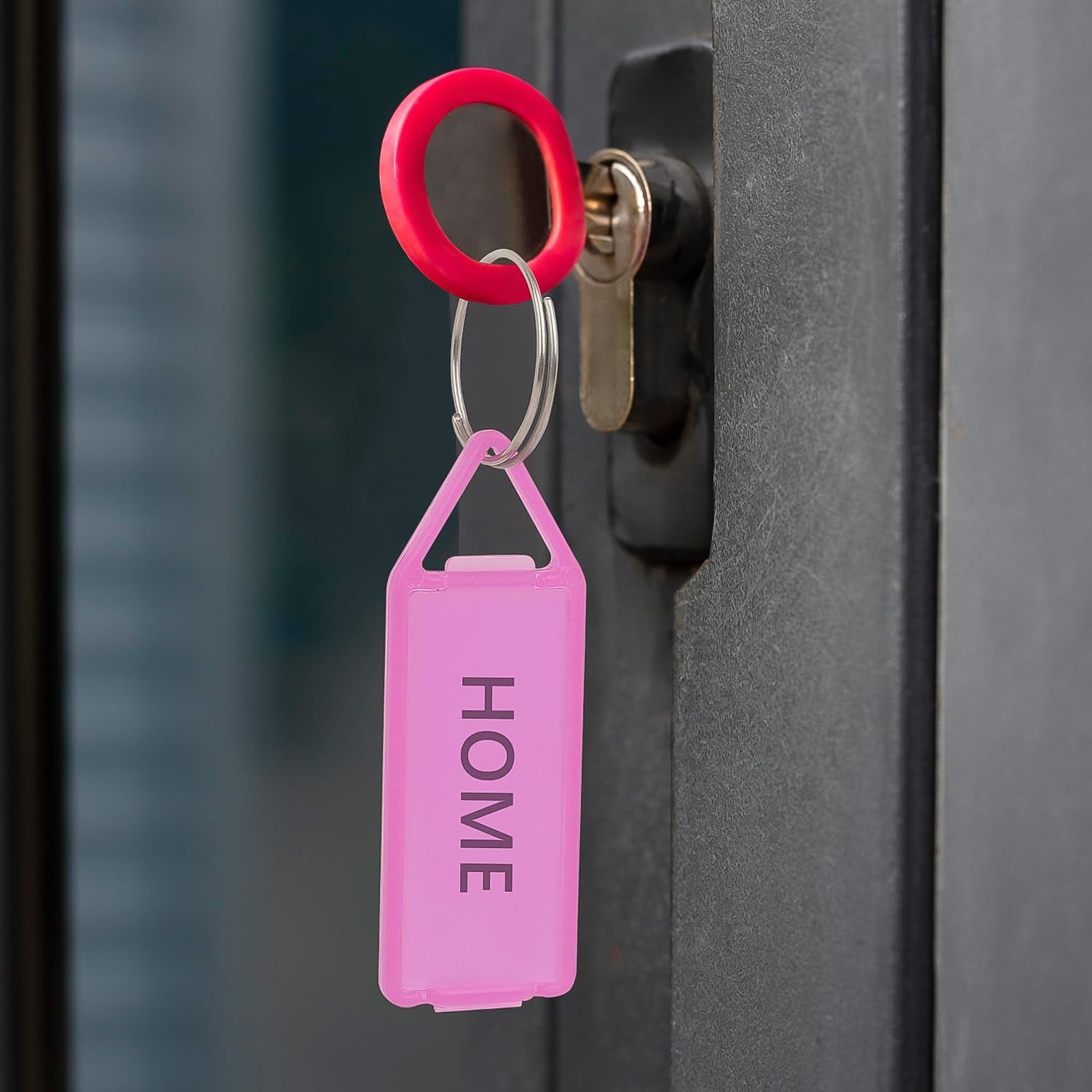 Yashu Multicolor Keychain Label Tags For Office, Home, Storage Use (50 Pcs Set)