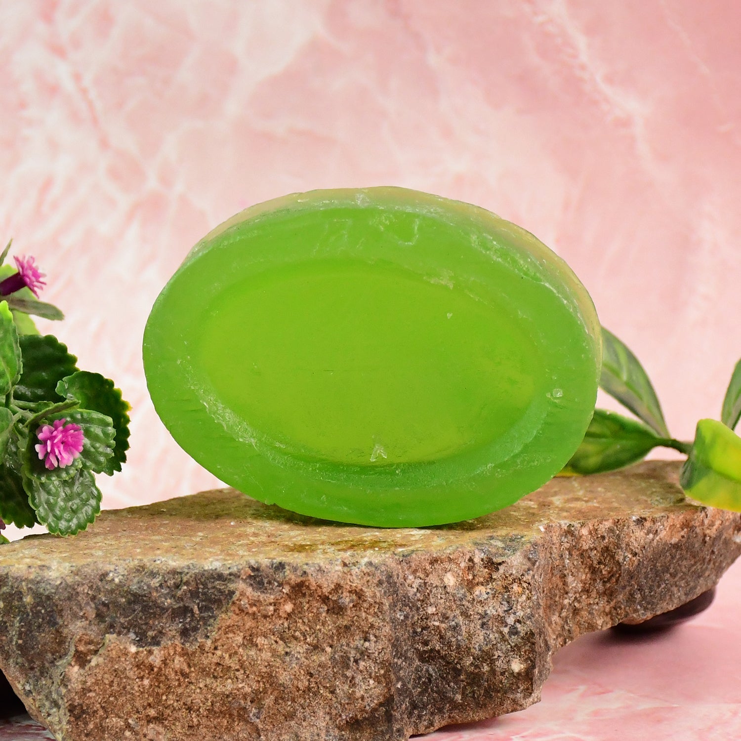 Doctor Chhoices / Choices Premium Aloe Vera Herbal Bath Soap (1 Pc)